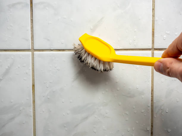 Best Attic Mold Removal  in Millbury, OH
